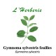 GYMNEMA SYLVESTRIS feuilles 100GR