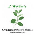 GYMNEMA SYLVESTRIS feuilles 100GR