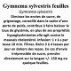 GYMNEMA SYLVESTRIS feuilles 100GR