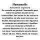 HAMAMELIS 100GR