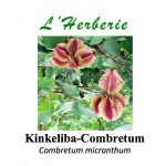 Kinkeliba-Combretum 100 gr Combretum micranthum