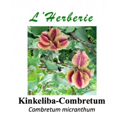 Kinkeliba-Combretum 100 gr Combretum micranthum
