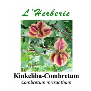 https://www.lherberie.com/3387-thickbox/kinkeliba-combretum-100-gr-combretum-micranthum.jpg