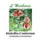 Kinkeliba-Combretum 100 gr Combretum micranthum