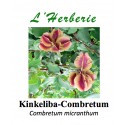 Kinkeliba-Combretum 100 gr Combretum micranthum