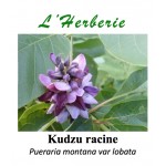 Kudzu racine poudre 100 gr  Pueraria montana var lobata