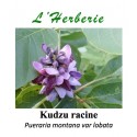 Kudzu racine poudre 100 gr  Pueraria montana var lobata