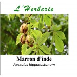 MARRON D INDE  100GR Aesculus hippocastanum