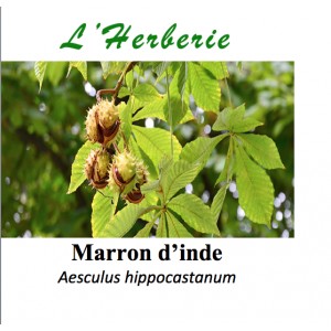 https://www.lherberie.com/3399-thickbox/marron-d-inde-100gr-aesculus-hippocastanum.jpg