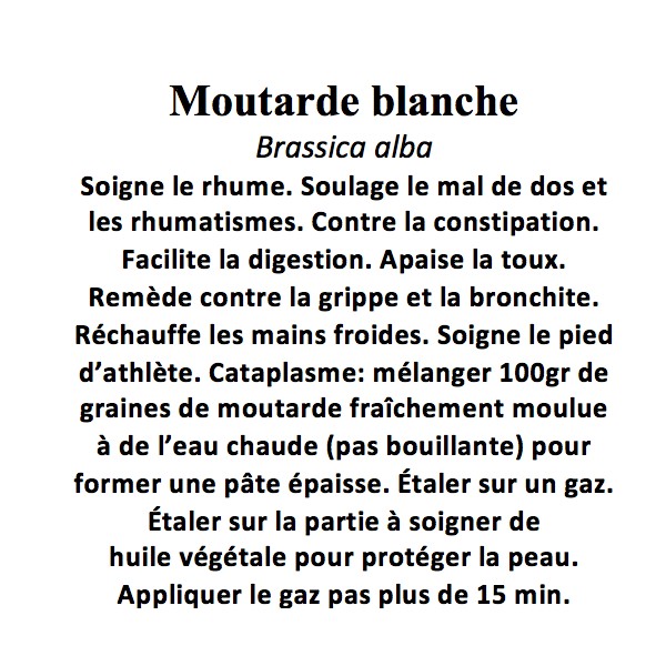 MOUTARDE BLANCHE GRAINE 100GR