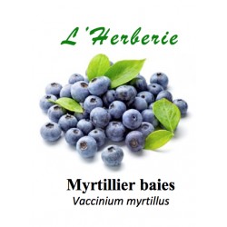 Myrtillier baies 100 gr  Vaccinium myrtillus