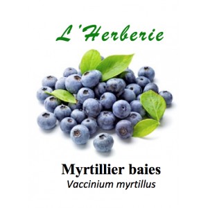 https://www.lherberie.com/3407-thickbox/myrtillier-baies-100-gr-vaccinium-myrtillus.jpg