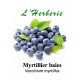 Myrtillier baies 100 gr  Vaccinium myrtillus