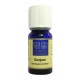 HE GURJUM 10 ML HERBES ET TRADITIONS