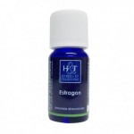 HE ESTRAGON HERBES ET TRADITIONS 10 ML