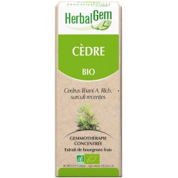 Cèdre (Cedrus libani) BIO, bourgeon, Herbalgem