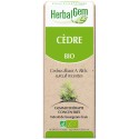 Cèdre (Cedrus libani) BIO, bourgeon, Herbalgem