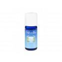 HUILE VEGETALE SOJA (GLYCINE SOJA) 30 ML OSHADHI