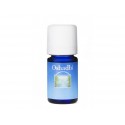 HUILE VEGETALE ANDIROBA ( CARAPA GUIANENSIS) 30 ML OSHADHI