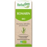 Romarin (Rosmarinus officinalis) BIO, bourgeon, Herbalgem