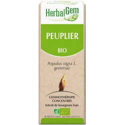 Peuplier (Populus nigra) BIO, bourgeon, Herbalgem
