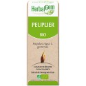 Peuplier (Populus nigra) BIO, bourgeon, Herbalgem