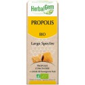 Propolis Large spectre 50ML  BIO, bourgeon, Herbalgem