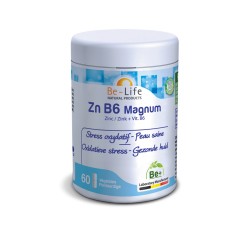 Zn B6 Magnum (60 Gélules) Zinc Vitamines B BE LIFE