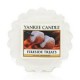 Tartelette Fireside Treat Yankee Candle