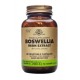 BOSWELLIA SERRATA 60 gélules végétales Solgar