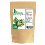 Armoine annuelle Gélules d' Artemisia annua