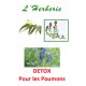 Detox Tisane pour les Poumons 100 gr