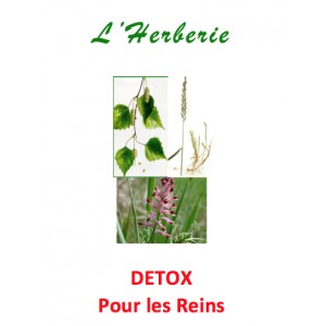 https://www.lherberie.com/5089-thickbox/detox-tisane-pour-les-reins-100-gr.jpg