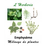 Emphysème mélange de plantes 100 gr