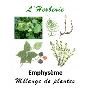 https://www.lherberie.com/5097-thickbox/emphyseme-melange-de-plantes-100-gr.jpg