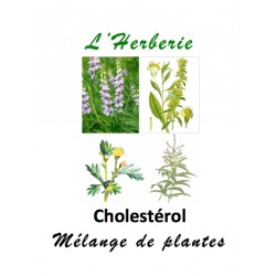 Cholestérol mélange de plantes 100 gr