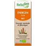 Artigem (Complexe Articulations) BIO, Herbalgem