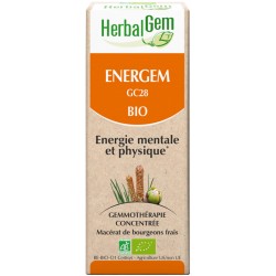 Energem complexe pour l'Energie mentale et physique BIO, Herbalgem