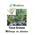 Toux Grasse Mélange de Plantes 100 gr
