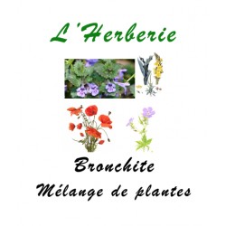 Bronchite mélange de Plantes 100 gr