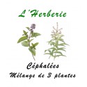 Céphalées mélanges de 3 Plantes 100 gr