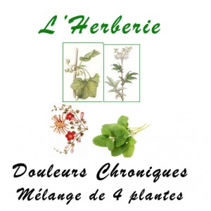 https://www.lherberie.com/5166-thickbox/douleurs-chroniques-melange-de-4-plantes-100-gr.jpg