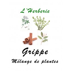 Grippe mélange de Plantes 100 gr