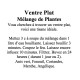 Ventre Plat Mélange de Plantes 100 gr