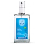 Déodorant Sauge 100 ml - WELEDA