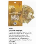 COPAL RESINE 30 G LES ENCENS DU MONDE