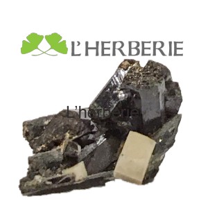 https://www.lherberie.com/5334-thickbox/aegirine.jpg