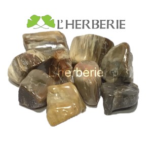https://www.lherberie.com/5359-thickbox/bois-silicifie-ou-bois-fossilise.jpg