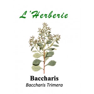 https://www.lherberie.com/5743-thickbox/baccharis-100-gr-baccharis-trimera.jpg