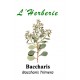 BACCHARIS 100 gr Baccharis Trimera 